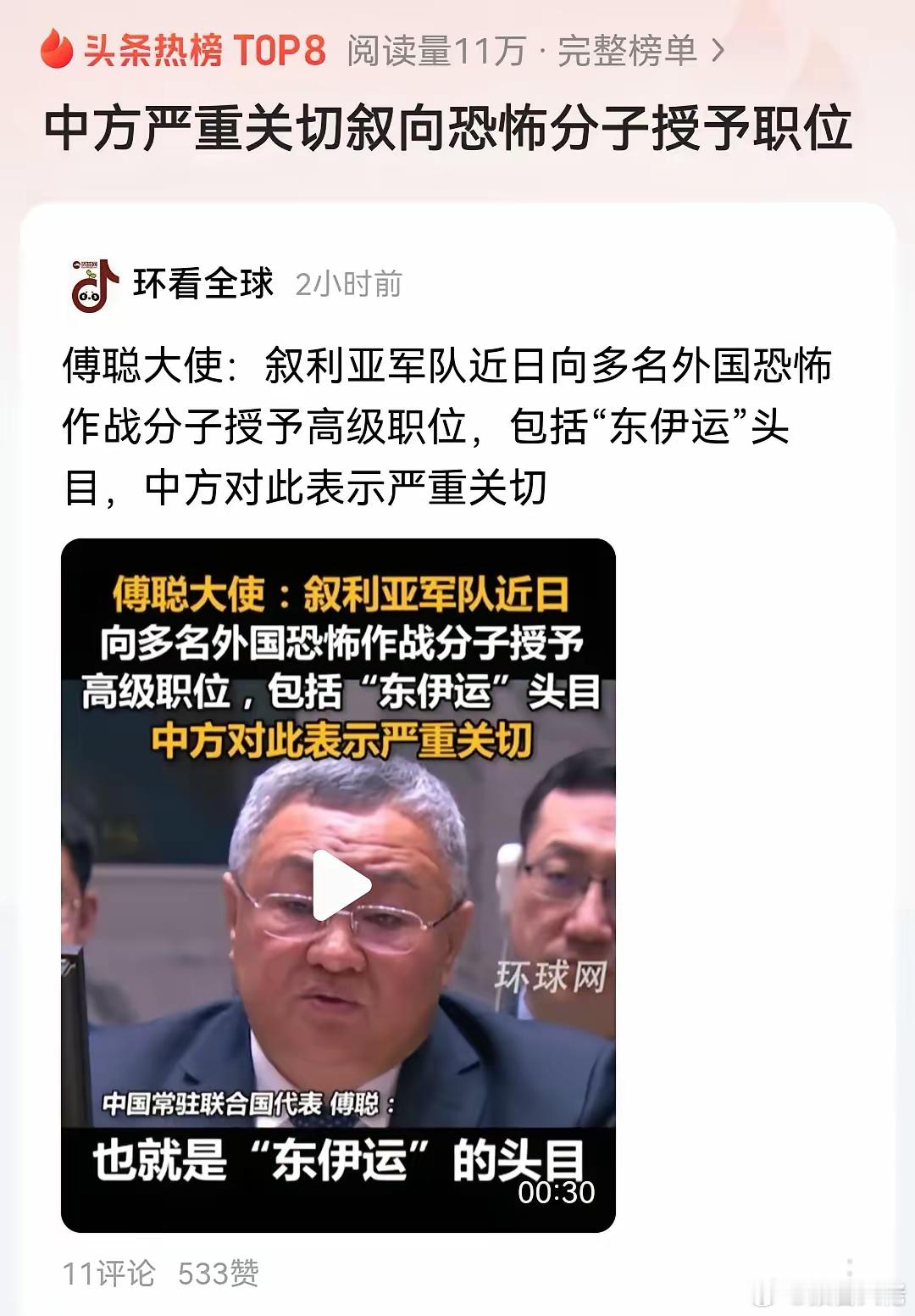 叙利亚临时政府开始胡来了～纵容自己所谓的军队拉拢恐怖组织成员入伙，犯了大忌讳~“