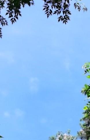 特朗普想赶在访中前把跟伊朗的事了结了，因为美国不想打了，伊朗更不想打了。
可我说