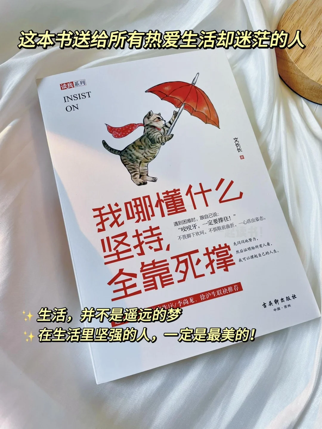 《我哪懂什么坚持，全靠死撑》