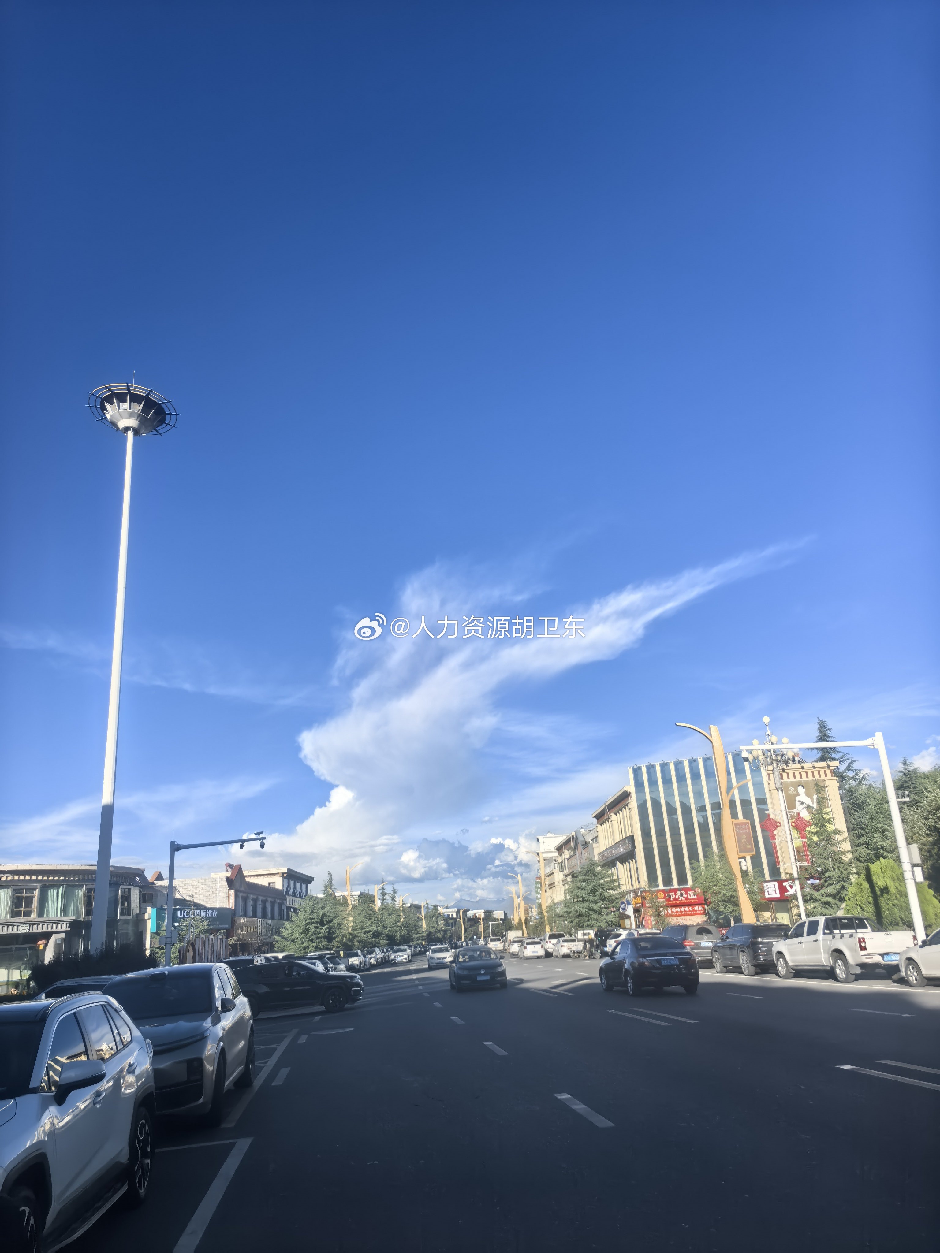 慢一点没关系，稳一点更安心。人生从来都不是一场急于求成的冲刺，而是一场需要静心感