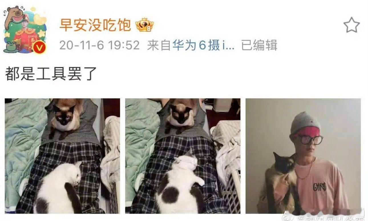 原来早安的新歌是写给流浪猫的 我宣布《踏雪》是今年最让我破防的一首歌，早安用最温