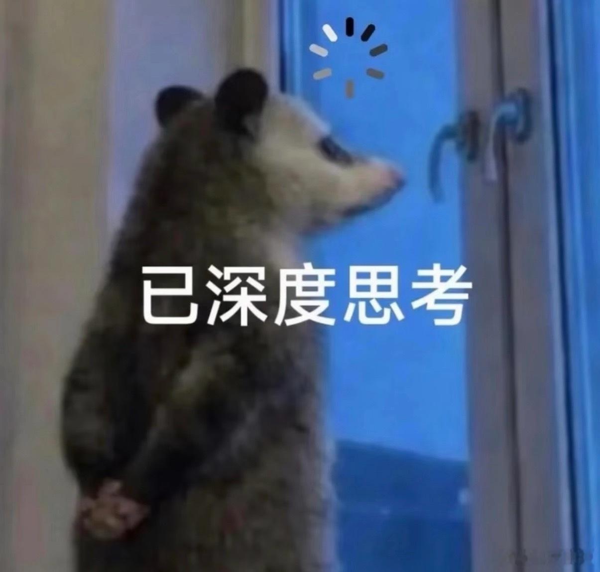 买数码产品认配置还是认品牌参数决定硬件下限，但品牌代表品控、售后和对待用户的态度