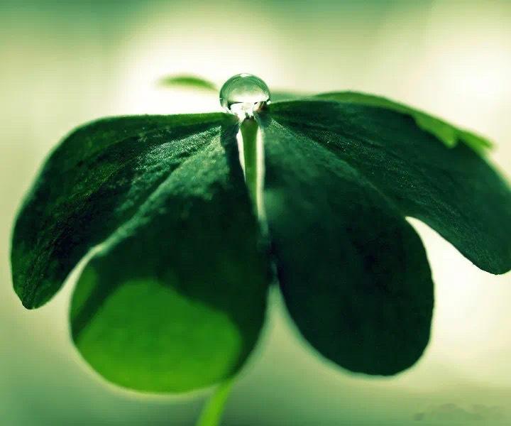 夜阑修心，自成清阔·默斋主人原创自由诗不必执意攀上高楼望远，只于沉沉夜色里轻合窗