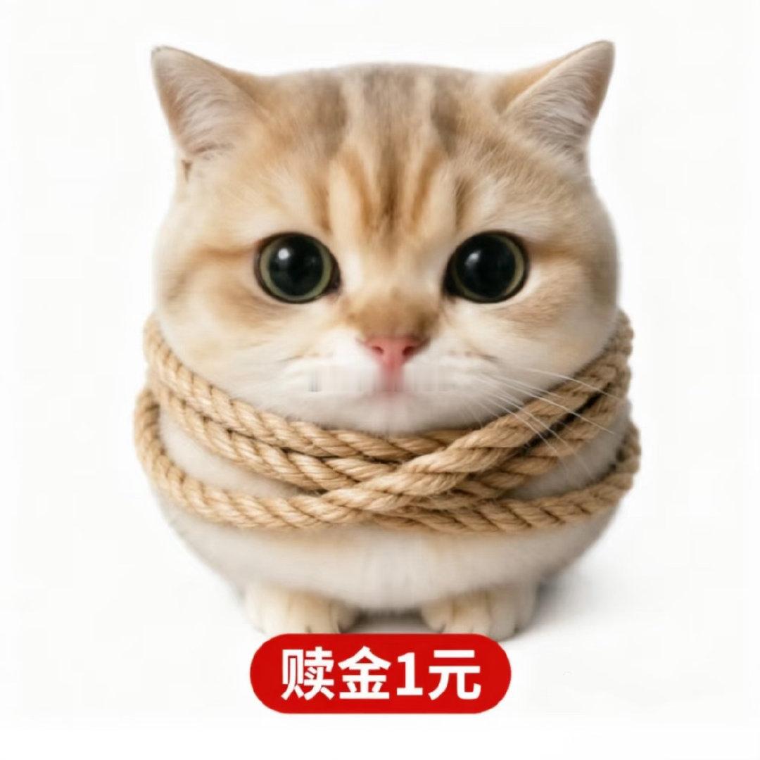 每次和🐺打视频就开始放飞自我晚上休息了一下准备换训练服开始锻炼，正好和🐺打着