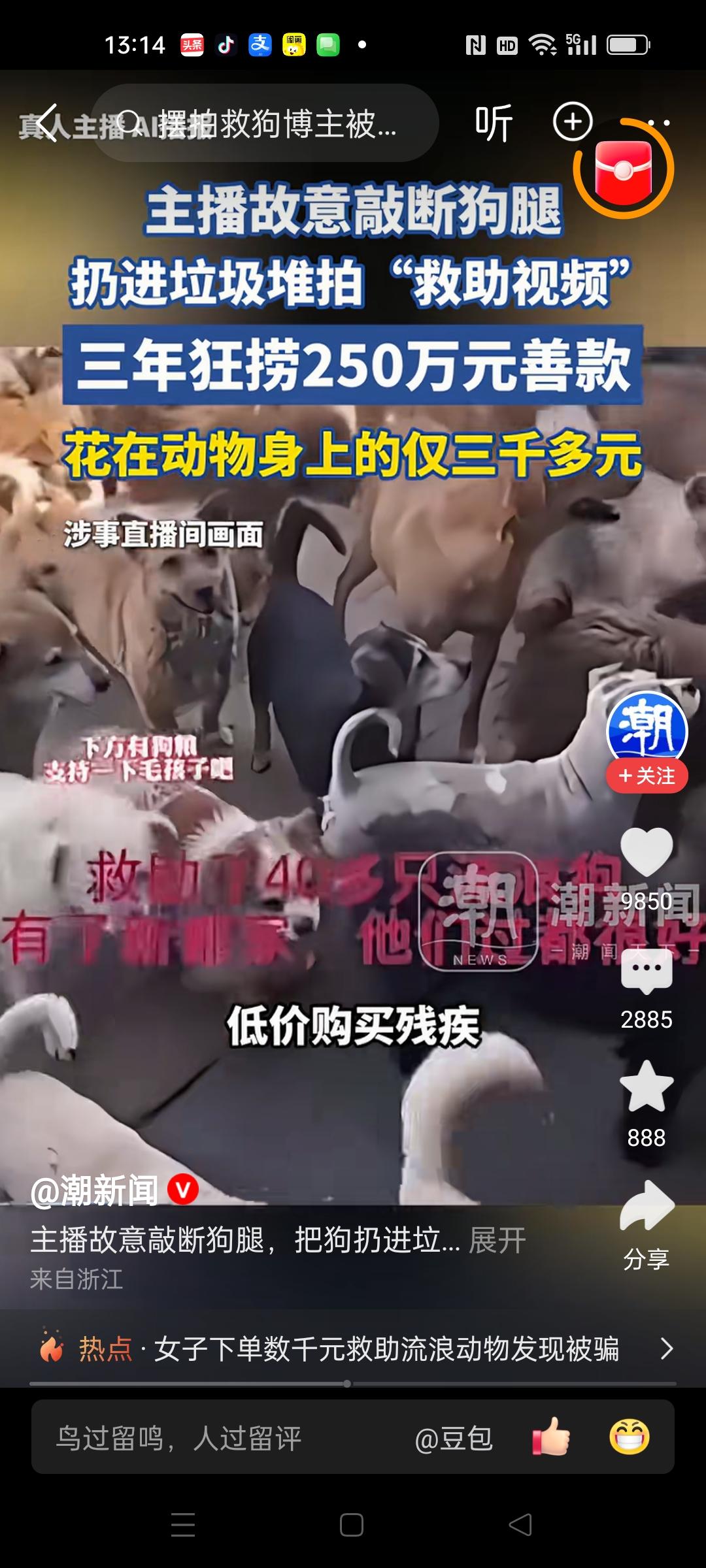 你看到饿的骨瘦如柴的狗狗会帮助它们吗？答案是肯定的，我知道你是有爱心的人，你肯定
