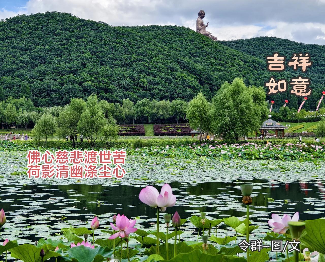 一路山色，随手拍一张风景照敦化金鼎大佛