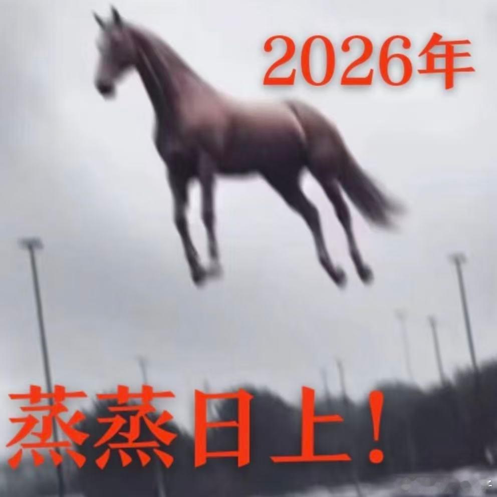 马年到，福气到，马年吉祥车灯照！看着车前映出的吉祥话，看来不管是路程还是职场都会