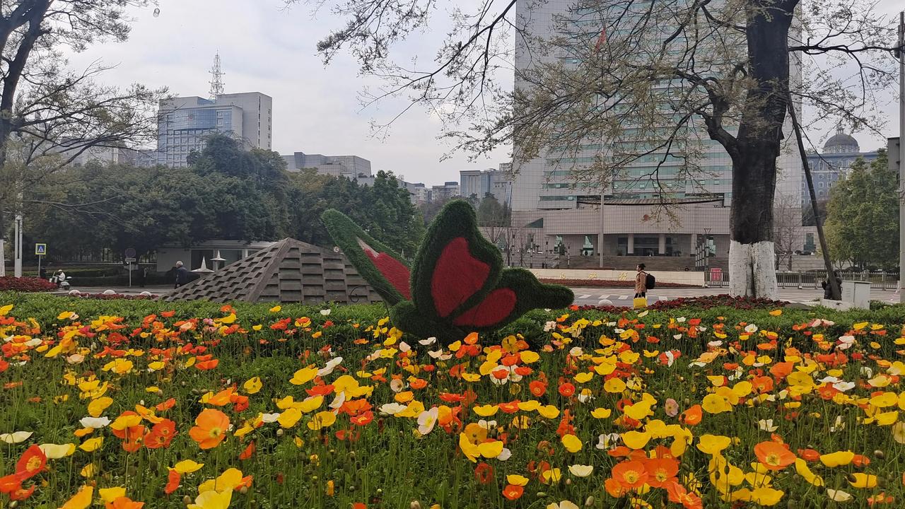 百花争艳春意盎然，这是什么地方？这里就是佛罗里达州，中国气都四川达州西外人民广场