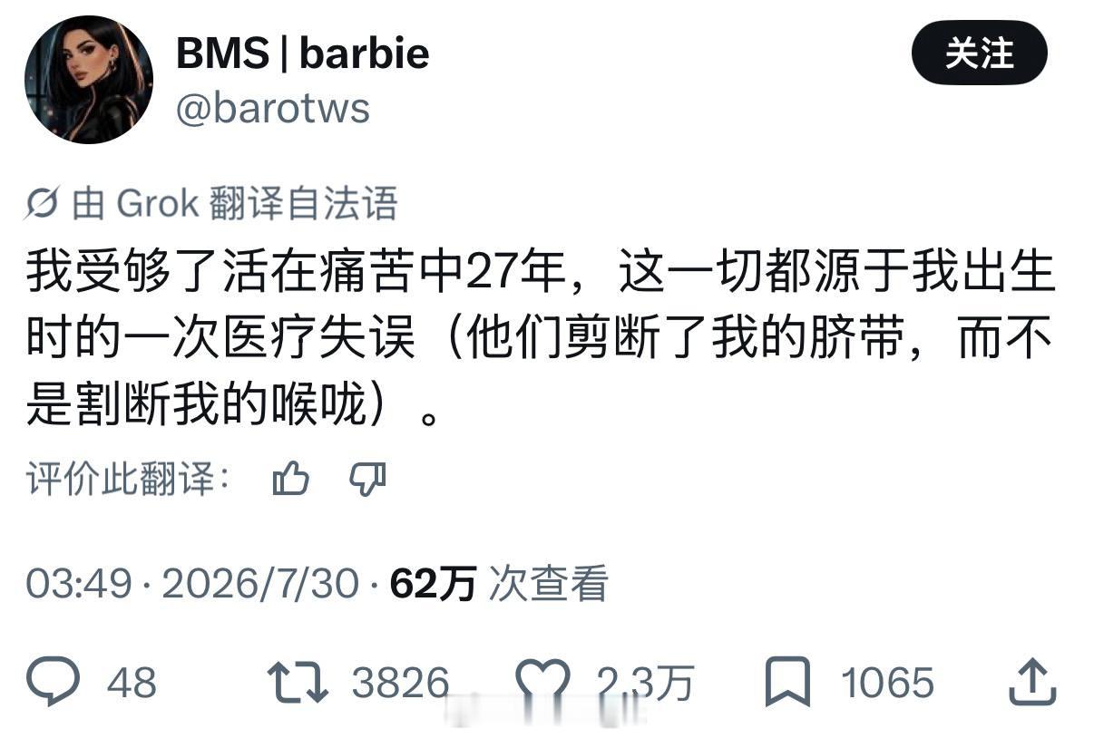 忧郁法兰西 