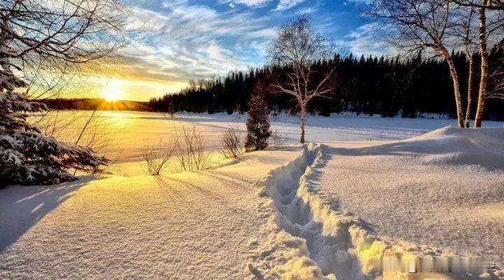 今天被下雪刷屏了，可惜我们哪里还没下，但不妨碍我想看雪的冲动。

忽有故人心上过