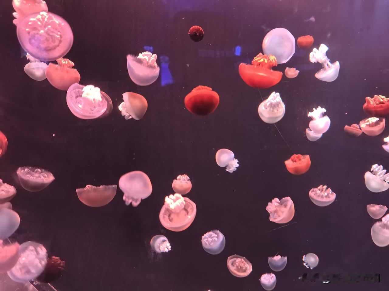 是粗心还是神经大条

今天看到一条热搜新闻，一位丈夫把妻子“遗忘”在服务区内，兀