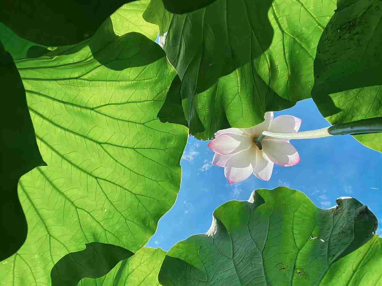我的今日状态：😁轻松愉快
我这里的天气：🍂微风