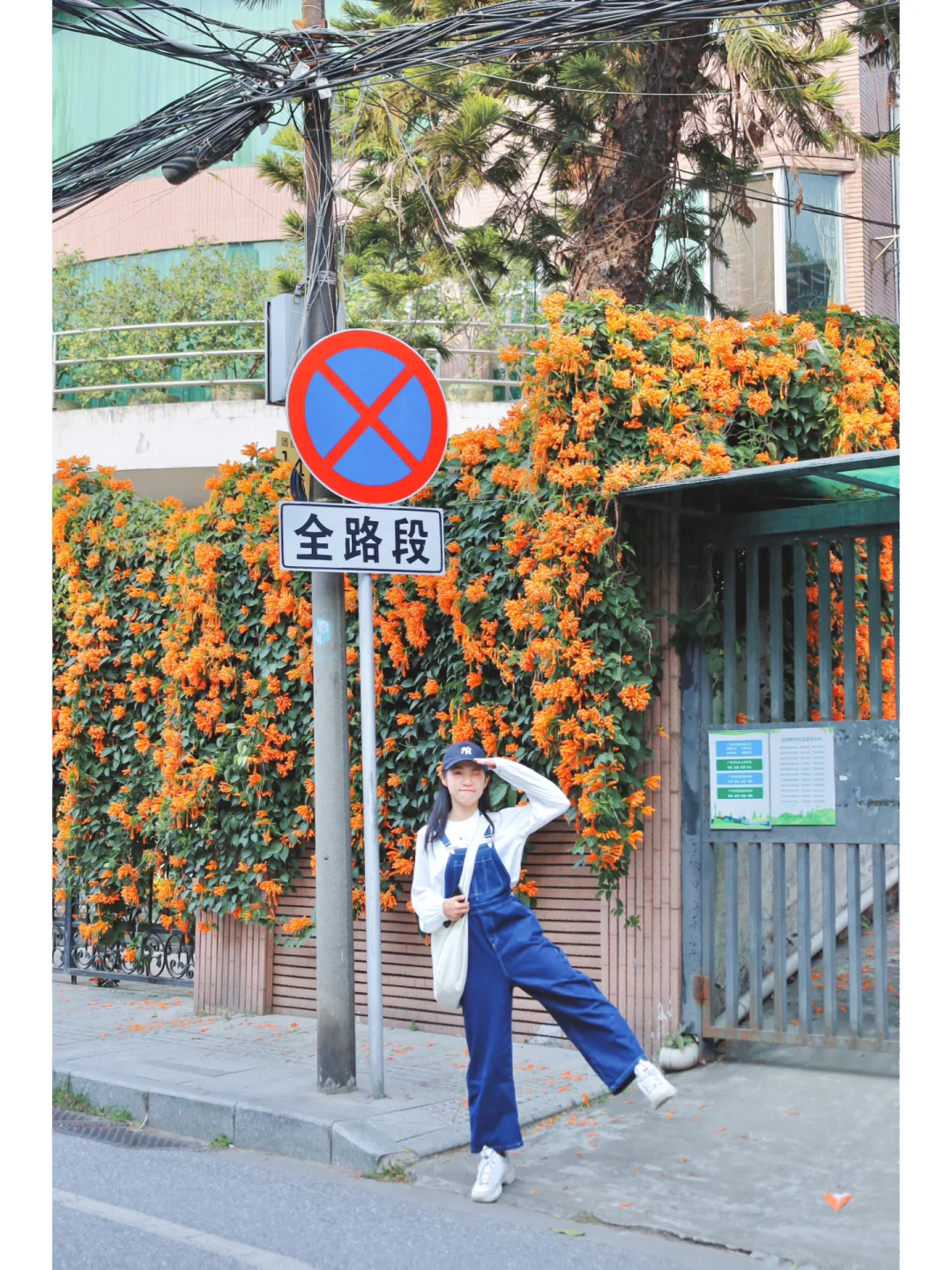 太美了吧！广州春天是在华侨新村定居了吗🌼