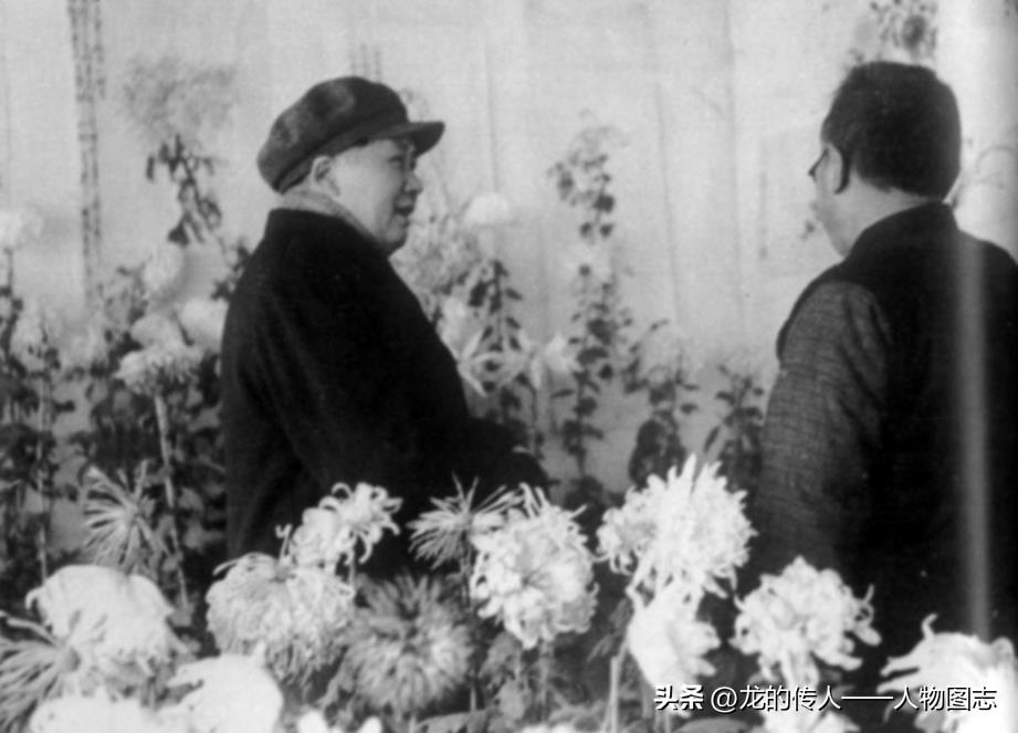 1951年12月毛主席在北京养菊专家刘契园的菊园中赏菊