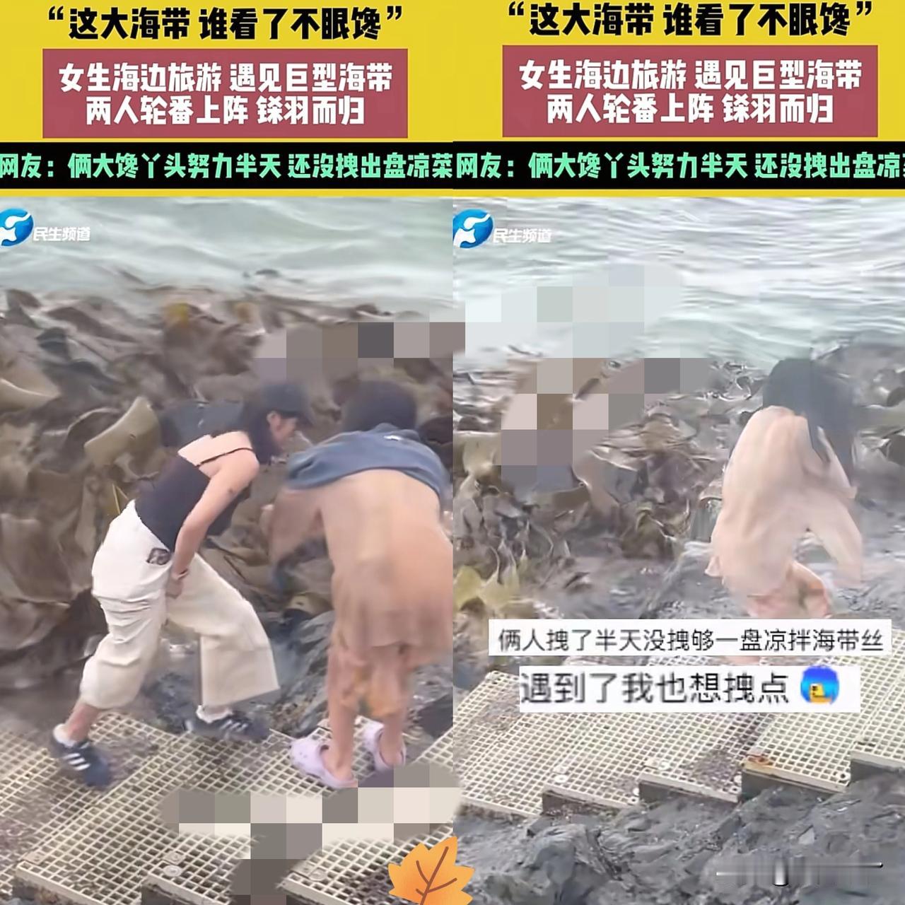 “解释不清了！”广西，两个女孩去海边游玩，不料，海里飘过来一大群海带靠在海边，这