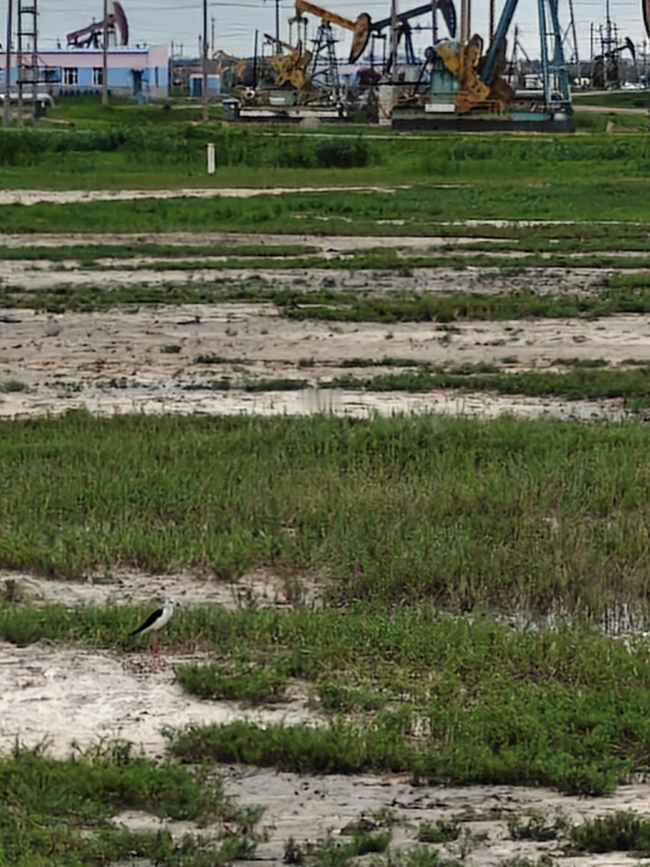 不要过度分享，
不是每个人都希望你过得好。对自己的个人生活保密，是最重要的自我照