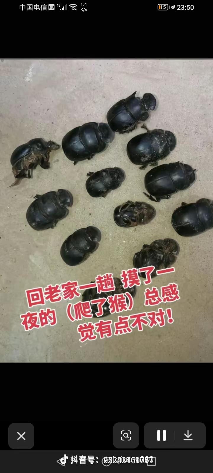 哪里不对啦？？？[捂脸]