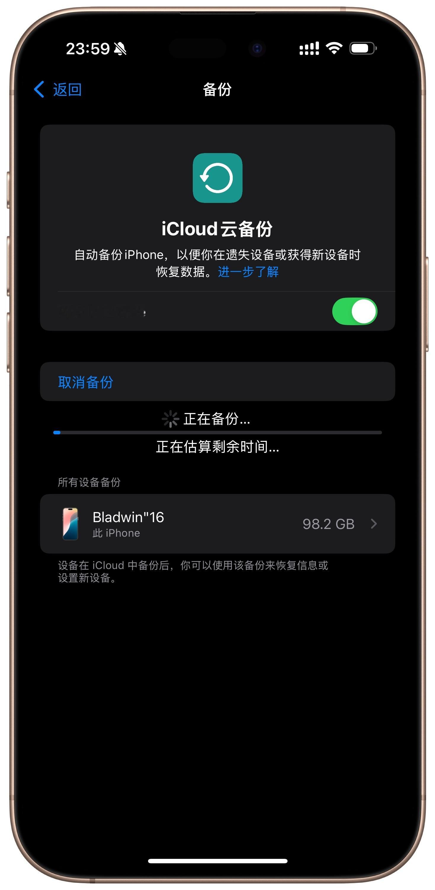 这会儿把主力机云备份一下，一会儿等iOS 26 开发版推送，如果问题不大的话主力
