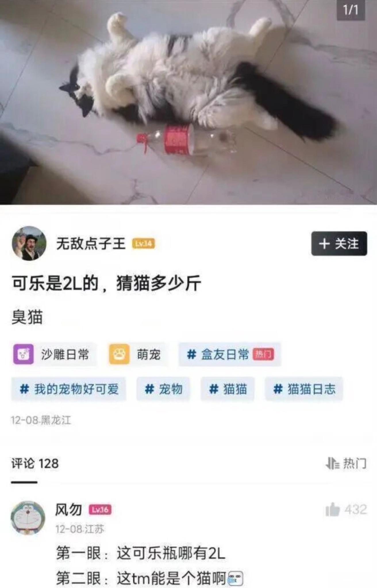 这是黑白的狮子吧 