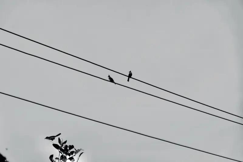 人生最美的相遇，不是惊艳开场，而是灵魂契合。它不是利益算计，而是彼此成就、互相滋