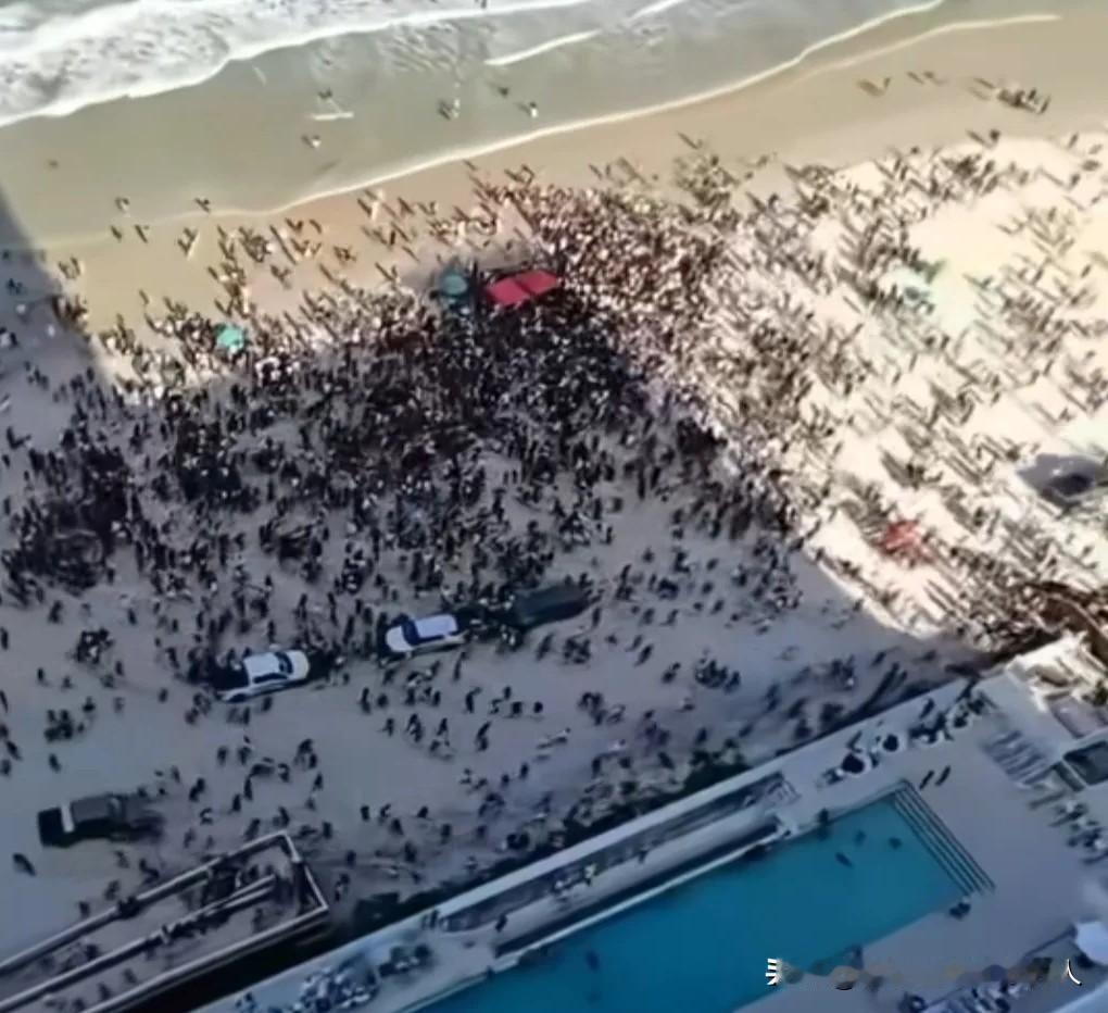 这真的是"草木皆兵"了。

3月16日这一天，在佛罗里达一个海滩上。有游客恶作剧