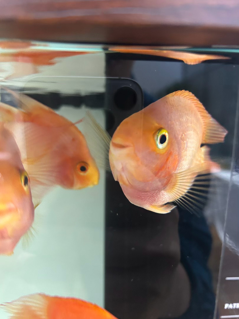 卧槽，这车真好看啊！！！！！真有气势啊！！！ 北京·聚伙片场