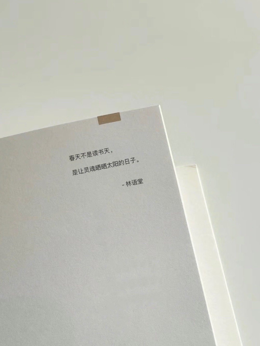 “我别无所求，只想被阳光晒透”☀️ ​​​