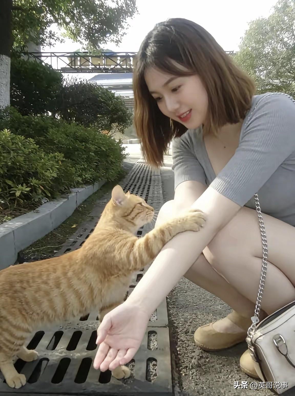 好想拥有这样一只猫咪！