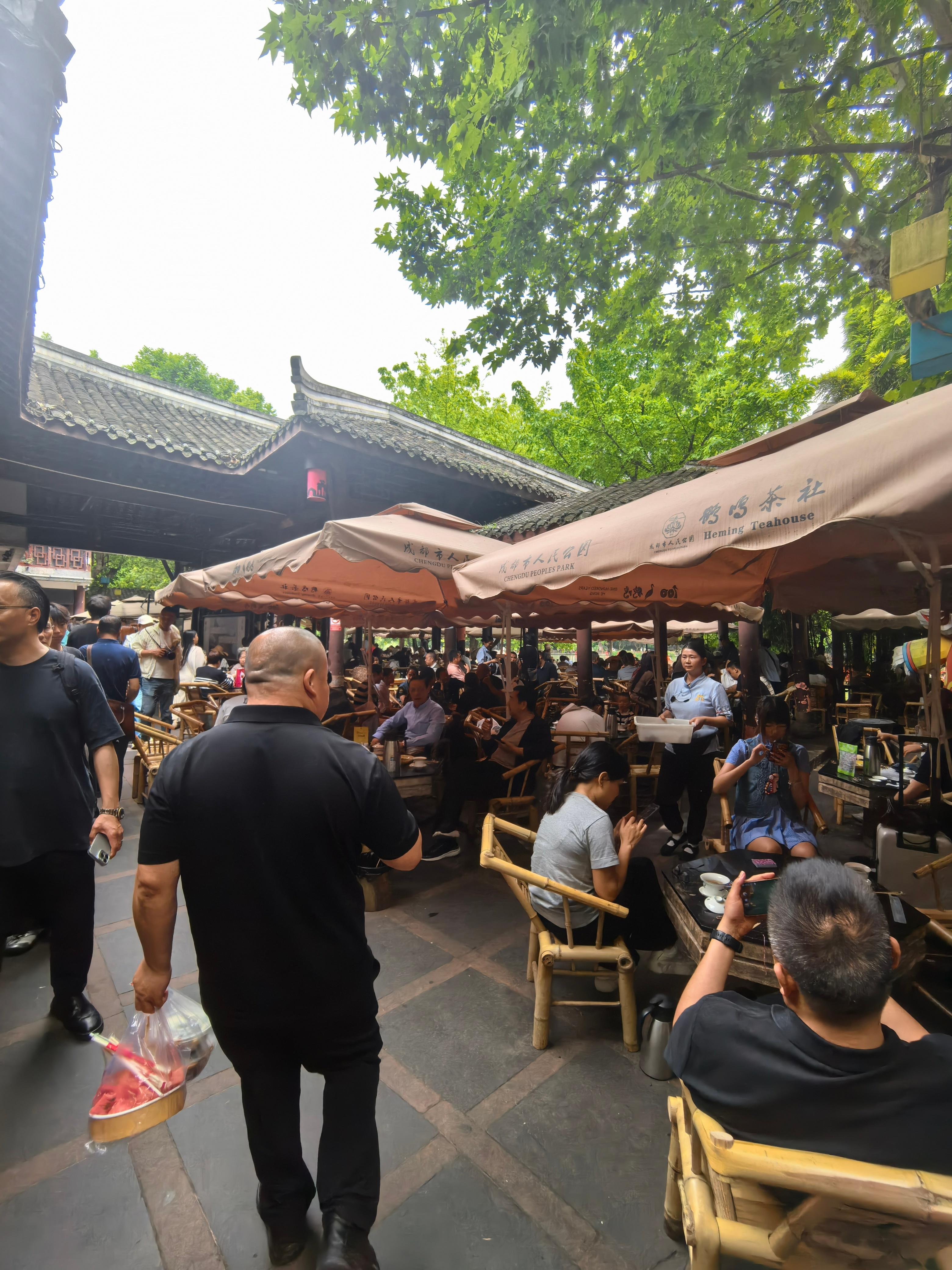 安逸～～ 成都·人民公园