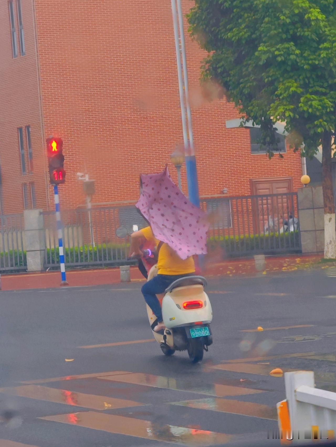 清明时节雨纷纷，路上行人欲断魂。风雨交加，这个骑电动车的行人确实惊魂，风大得把雨