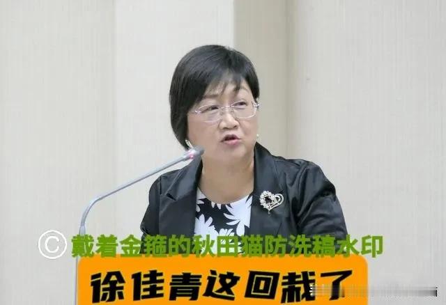 徐佳青这下栽了！
多行不义必自毙，给儿子“开后门”登东沙岛被抓包～

据中评社消