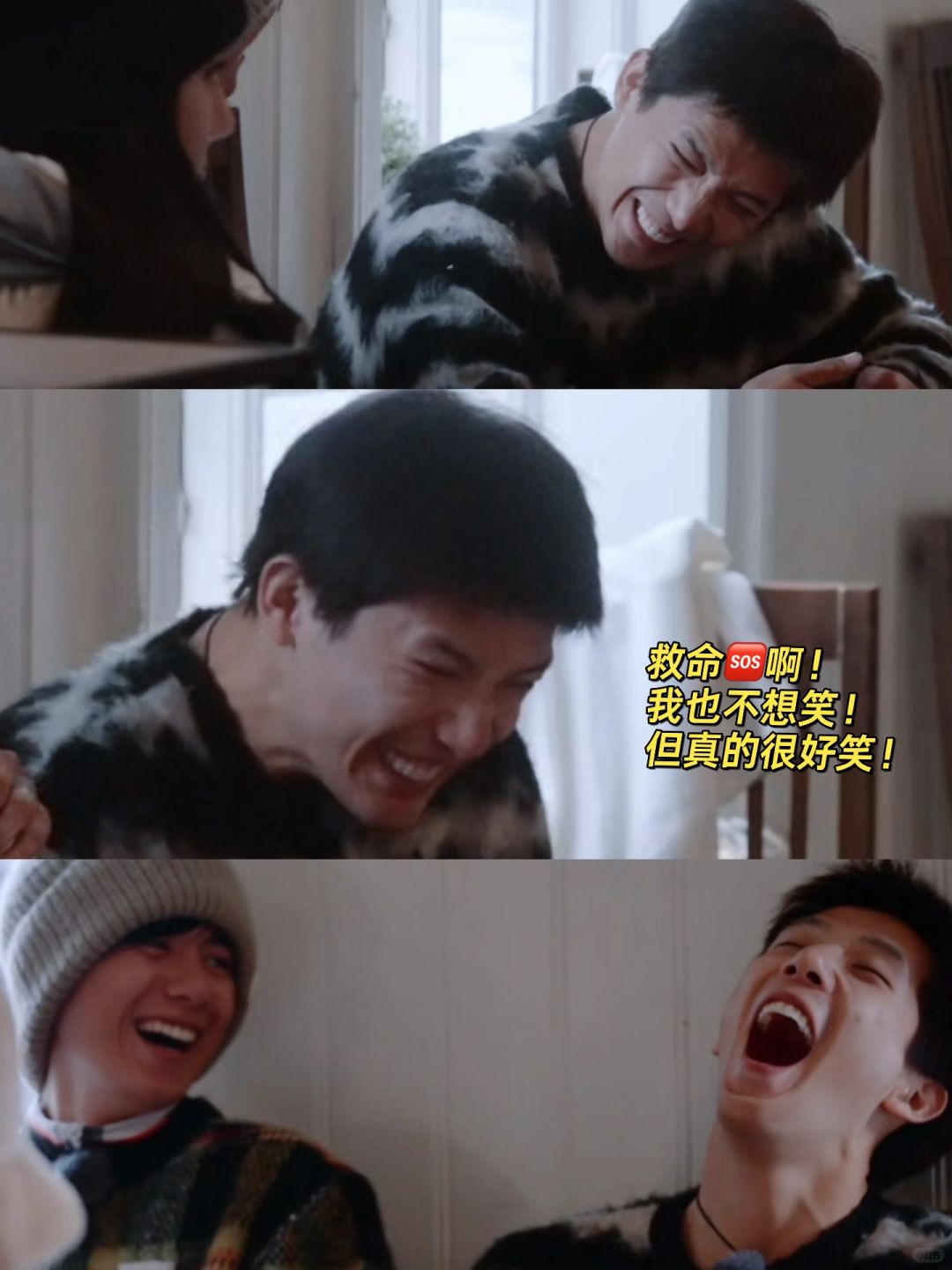 现在只要看到王安宇就很想笑！根本忍不了🤣！