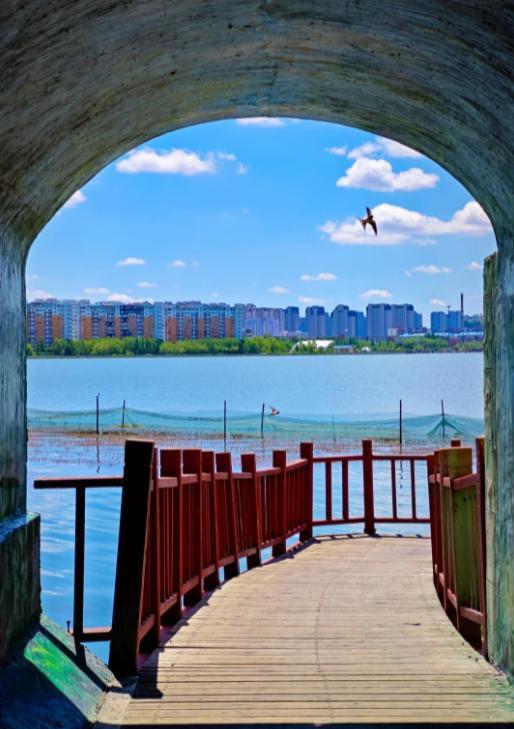 一次饭局，意外发现
亲爱的朋友们大家好，我是海林小百科，今天我们来看看。
一、