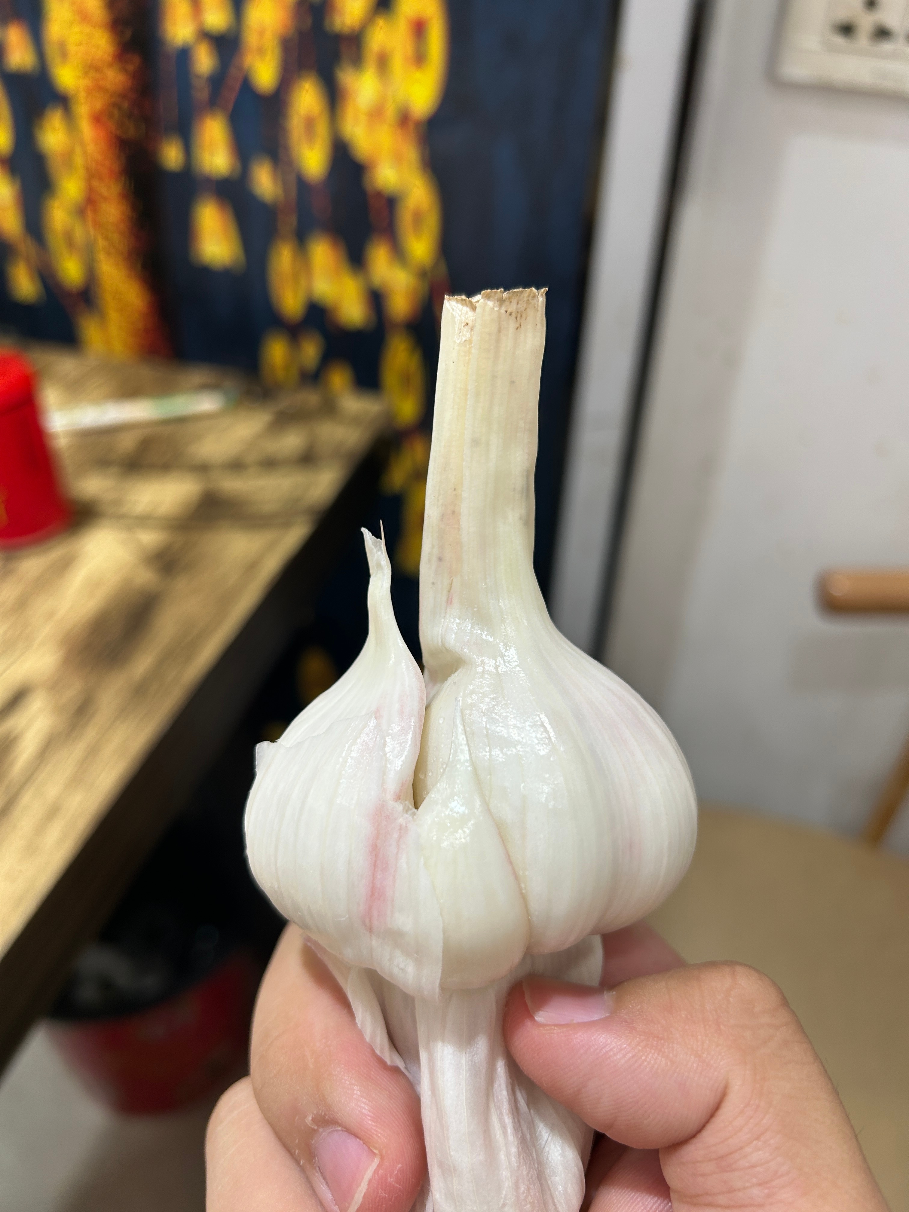 家人们谁懂啊！！！！新蒜！！！ 