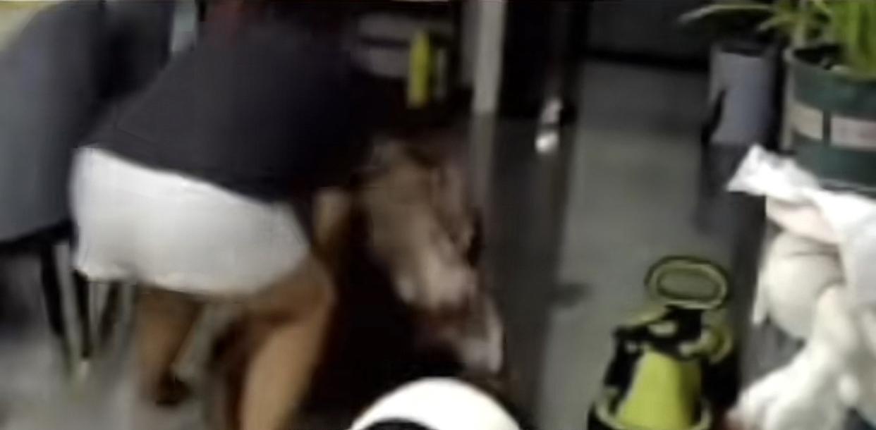 成年人的崩溃只在一瞬间。刷到网友发布了一段母亲和儿子争吵的视频。视频中，一位母亲