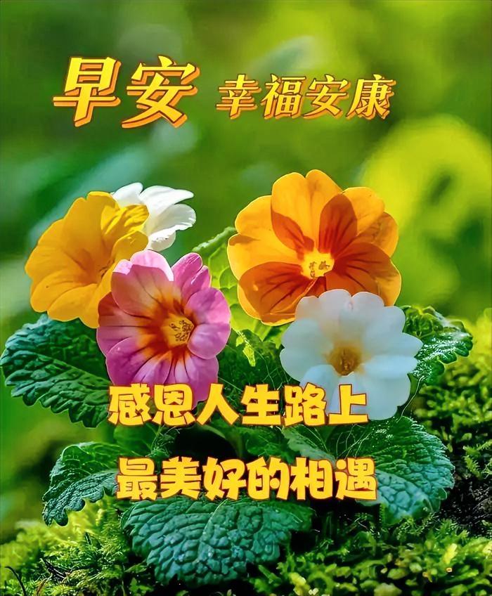 晨光微熹，感恩生命中的美好相遇，愿你我皆平安喜乐，与幸福同行。