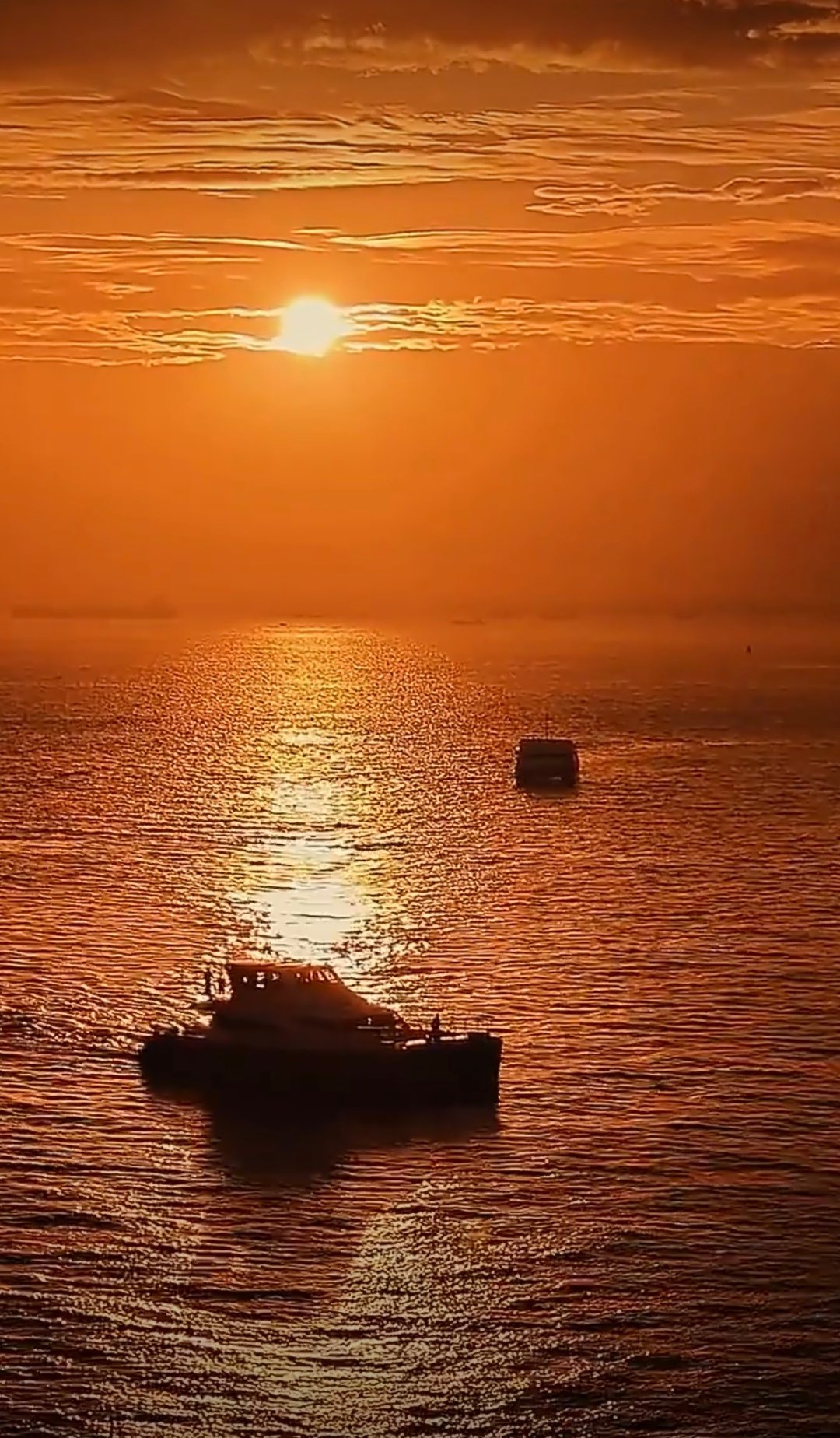 青岛橘子海 每个海滩，都有自己的橘子海所以，是先有橘子海，还是先有乐队？我成立一