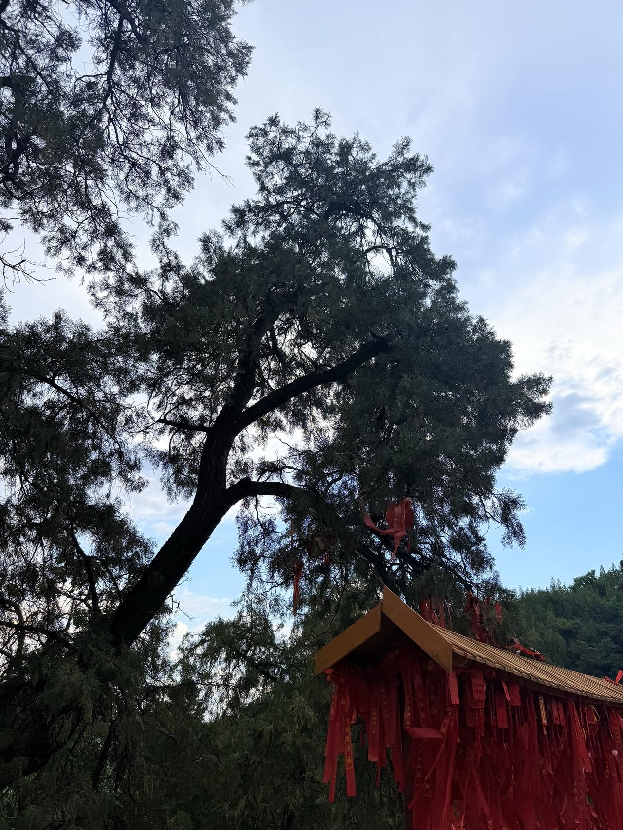 长空斗法风雷急，碧海争锋杀气寒