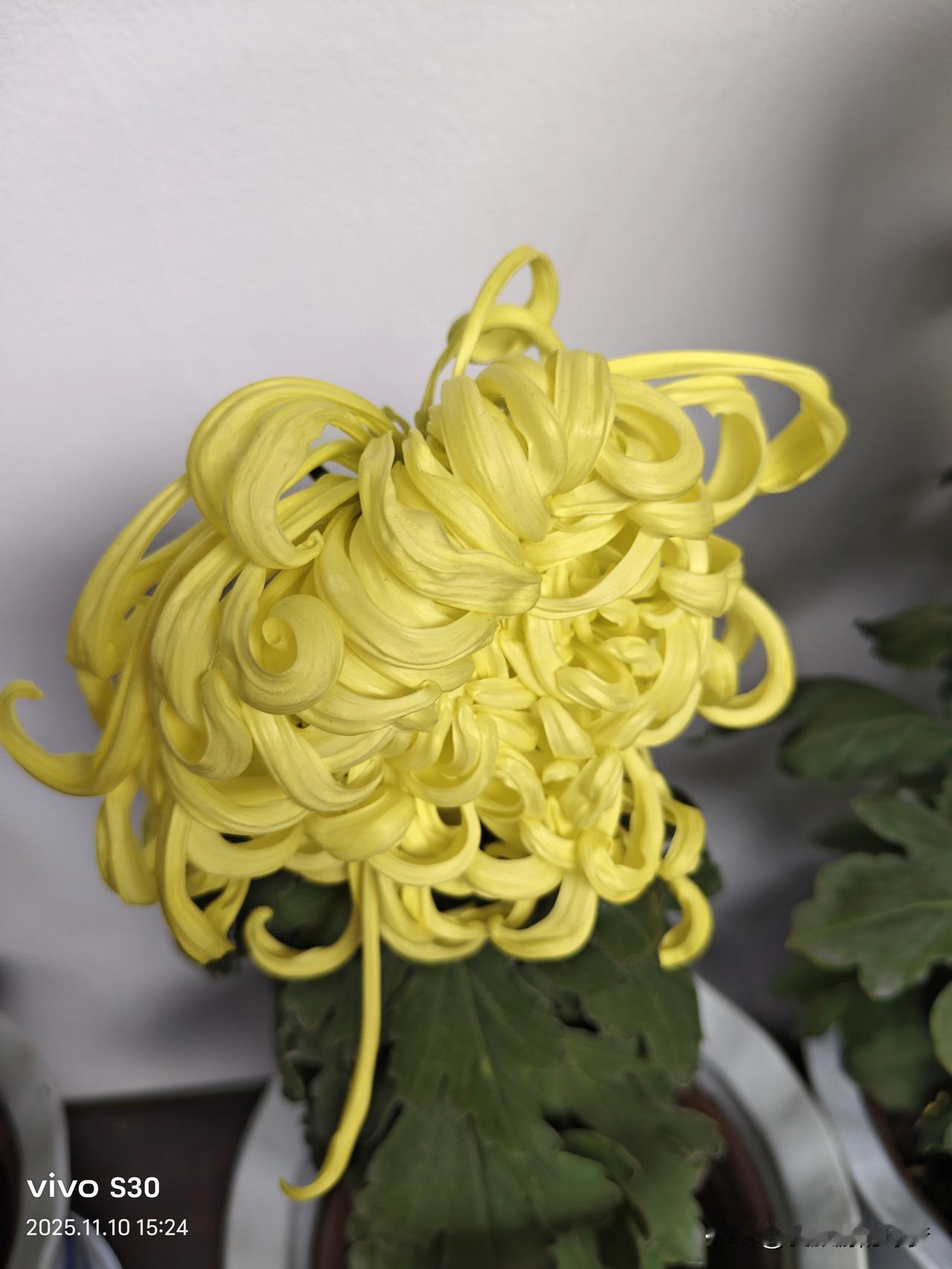 在异乡突然想家的瞬间