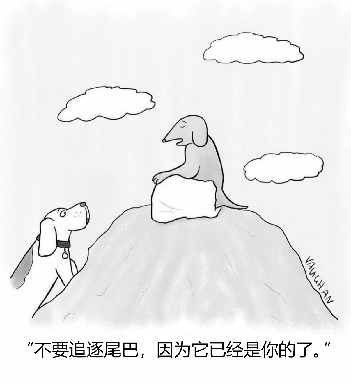 狗其实没有腿，但有几条功能各异的尾巴。 ​​​