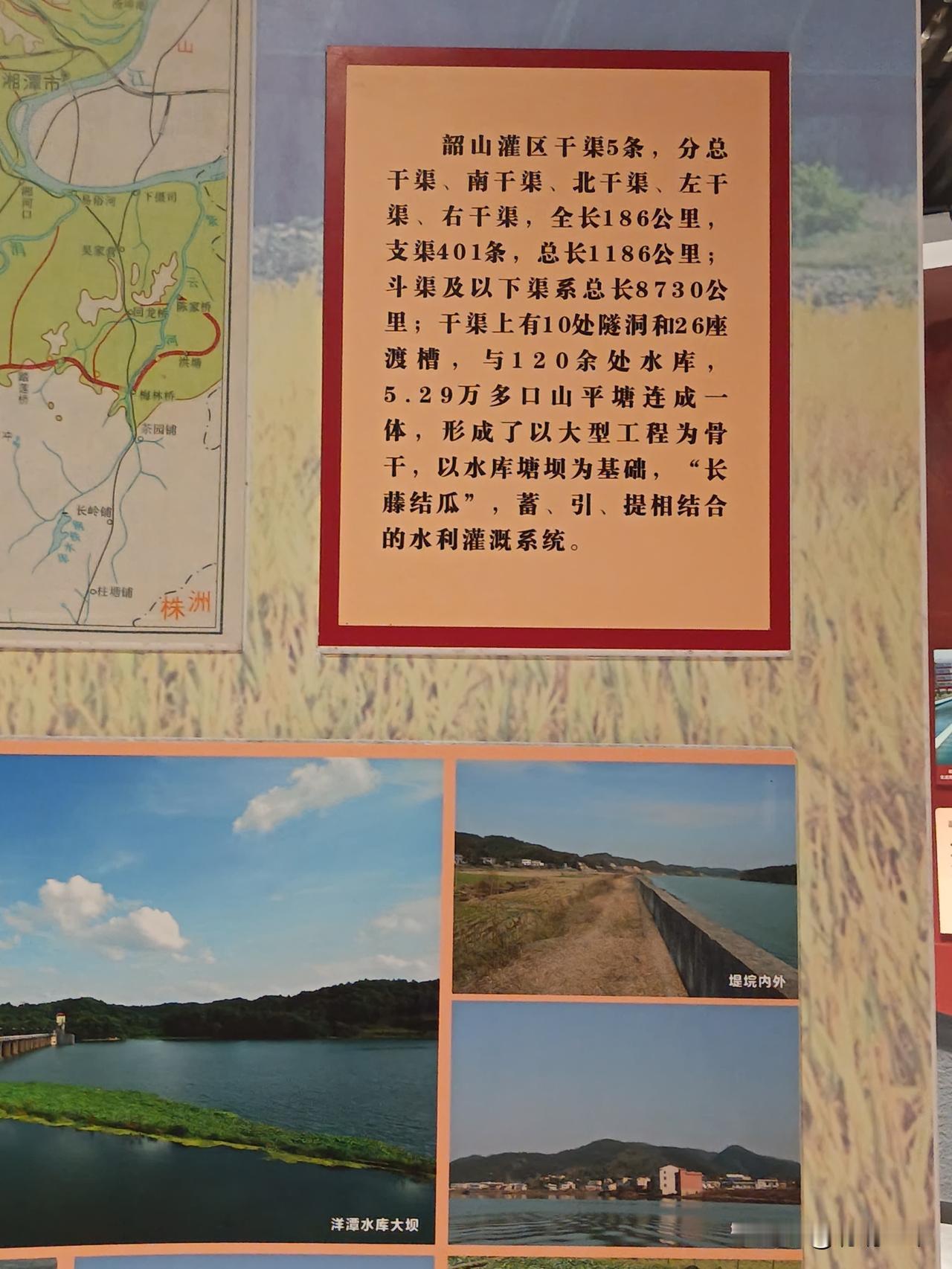 今年最舍不得删的照片