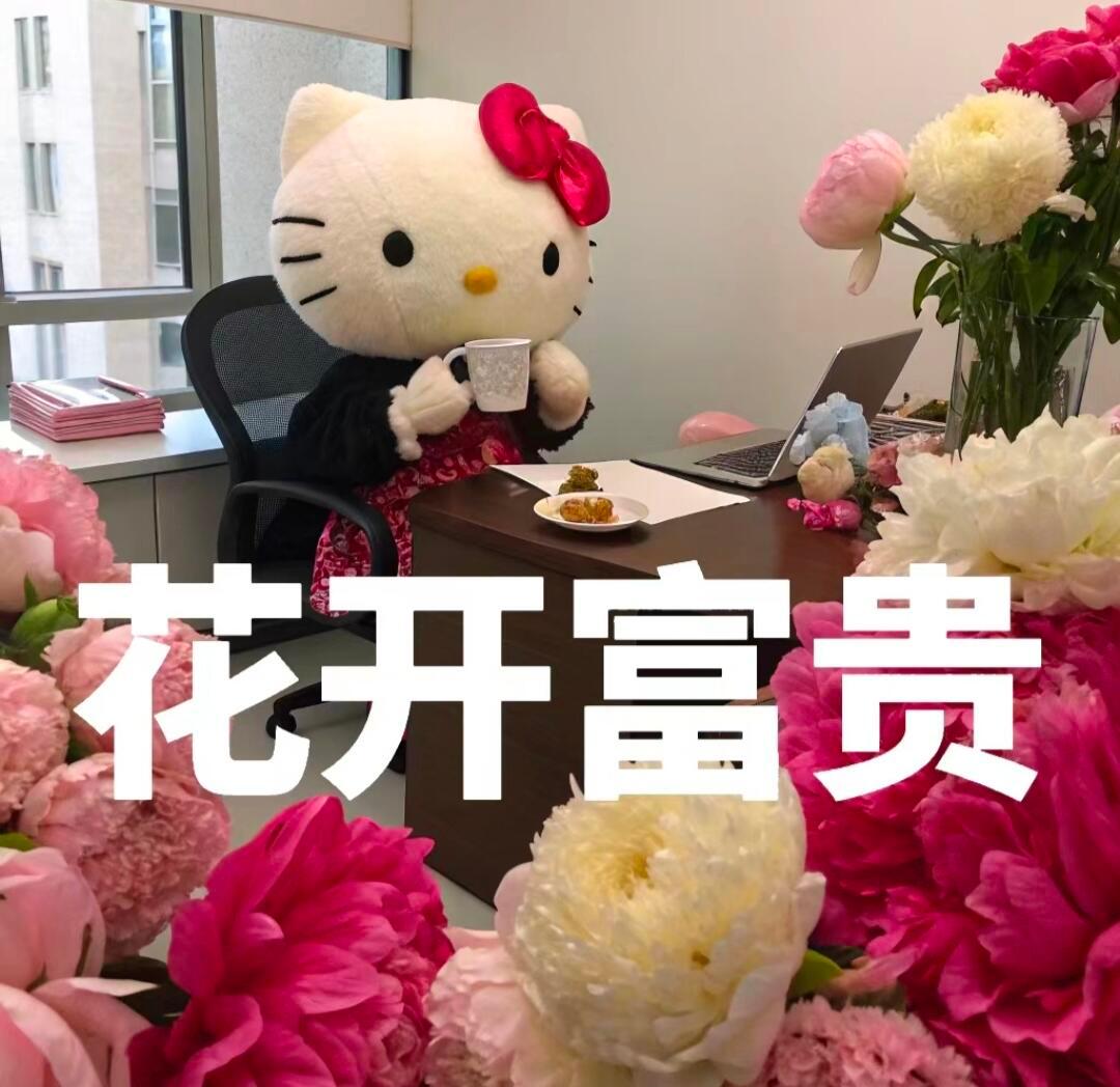 职场打工人的进阶版修炼｜hello kitty表情 