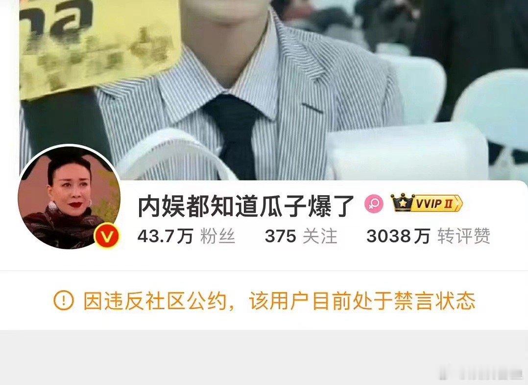 哪个208团队下场了？yxh禁言了。 ​​​