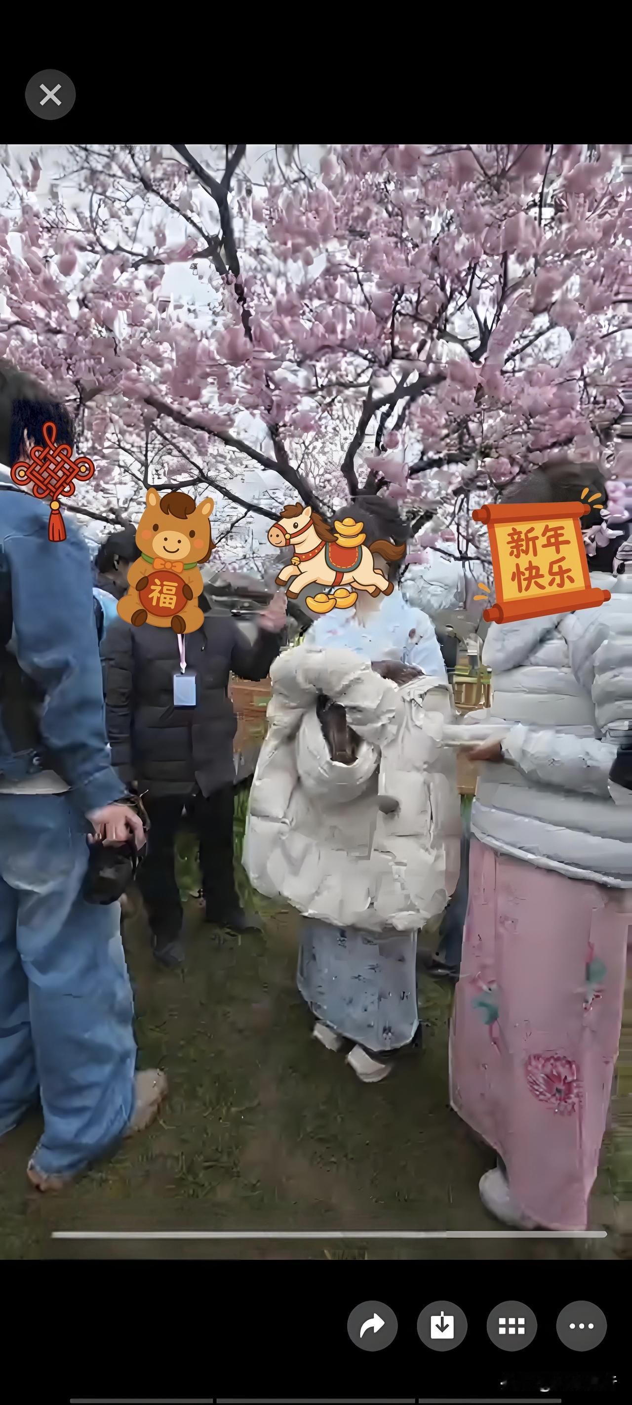 “好好的汉服不穿，穿和服去樱园拍照，这是傻子行为？”对于有人穿和服去樱园拍照这件