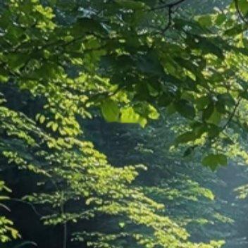 相信梦想是价值的源泉，相信眼光决定未来的一切，相信成功的信念比成功本身更重要，相