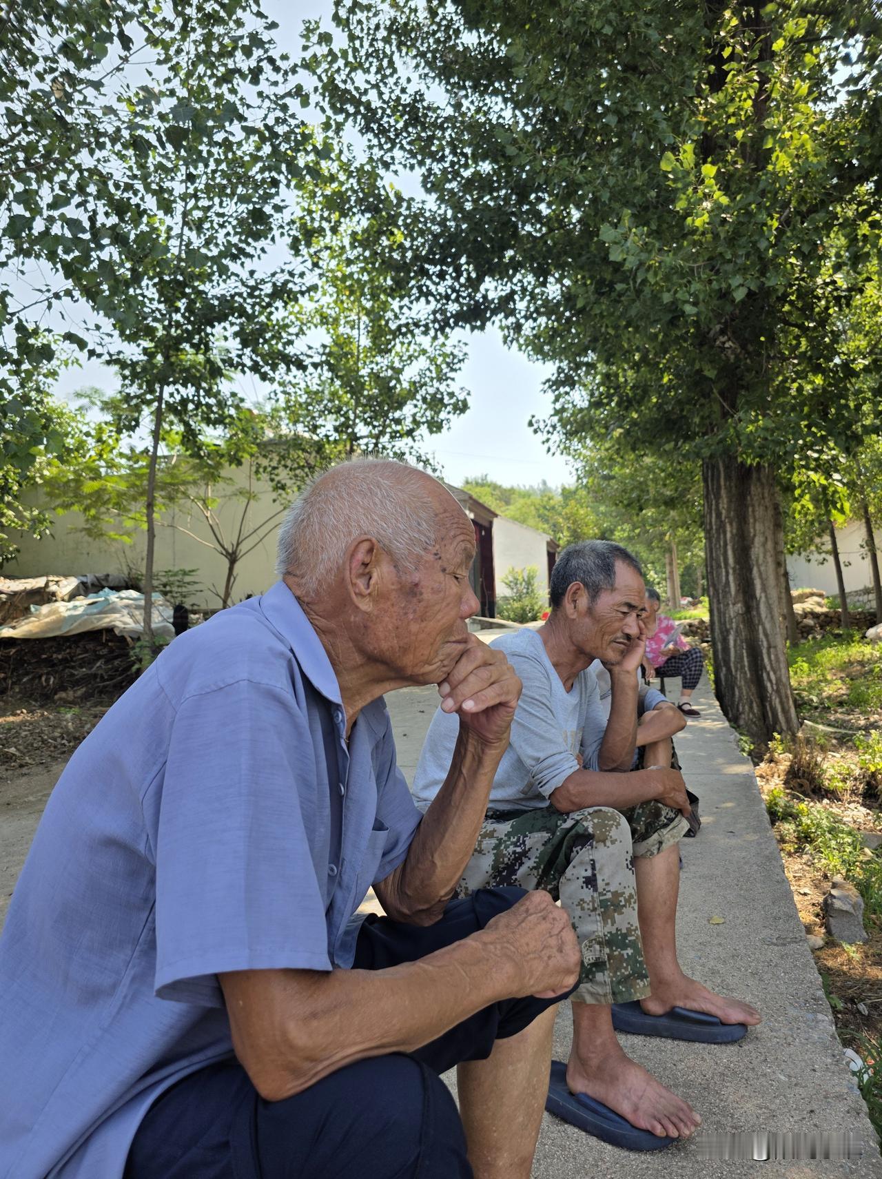 跟你说说我们这里热到什么程度……

山东临沂北部的山村，同样没有逃过这个夏天，最