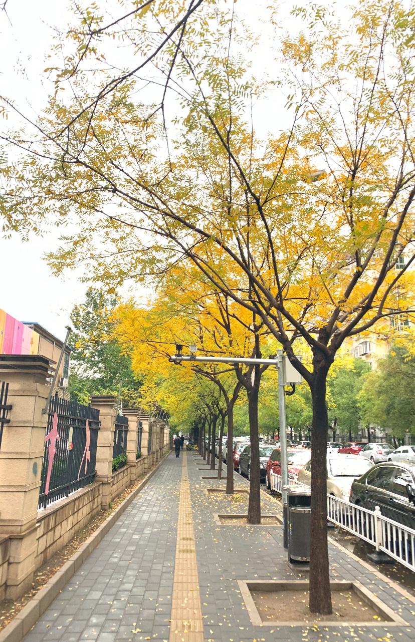 美国把ai改成了si，那国内这个叫aion的车怎么办？