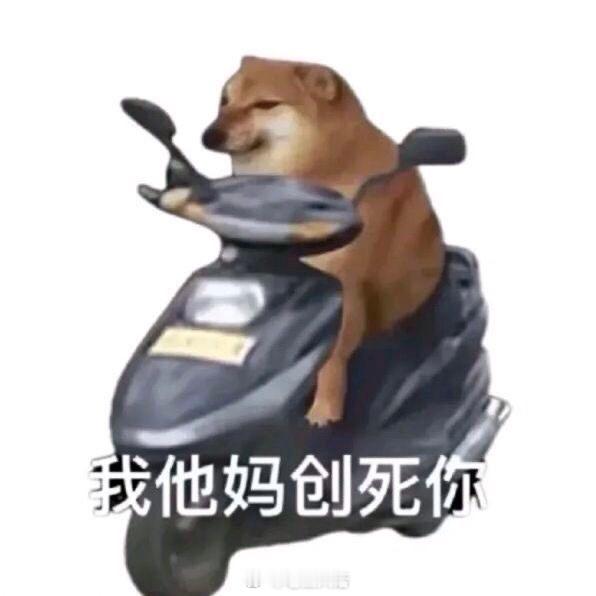 聊天必备表情包第667弹汪汪旺旺 ​​​（拿图吱声） ​​​