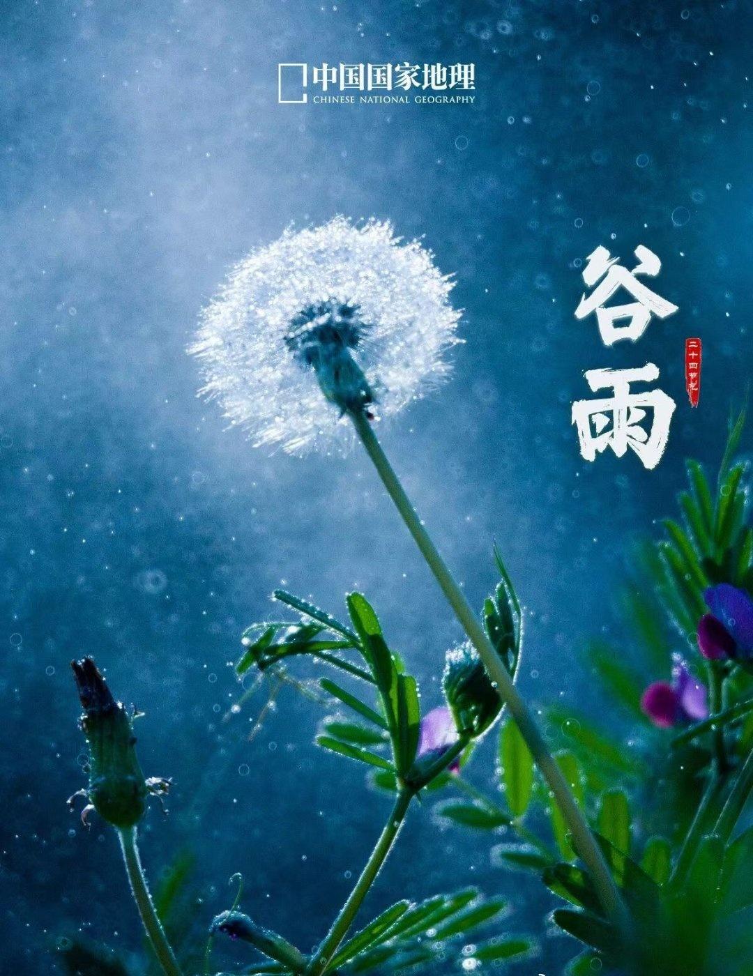 才谷雨，广东人已经过了很久的夏天[笑哭][笑哭][笑哭] ​​​