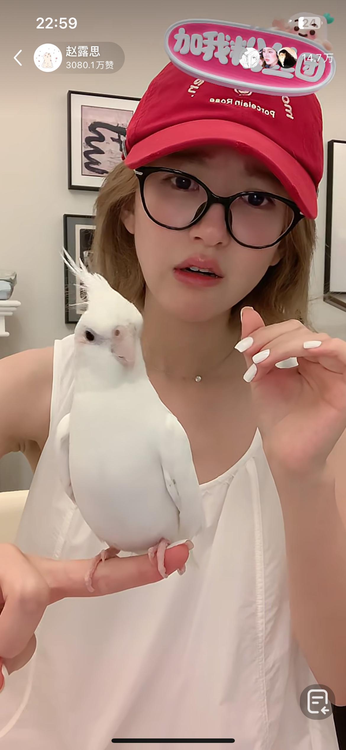 注意：此处非静止画面，你的新鸟主播已经被踢出直播间 ​​​